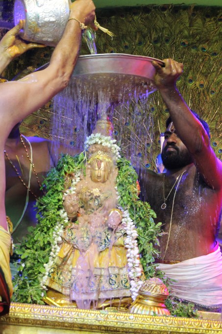 Tiruchanur Padmavathi Ammavari Rathotsavam