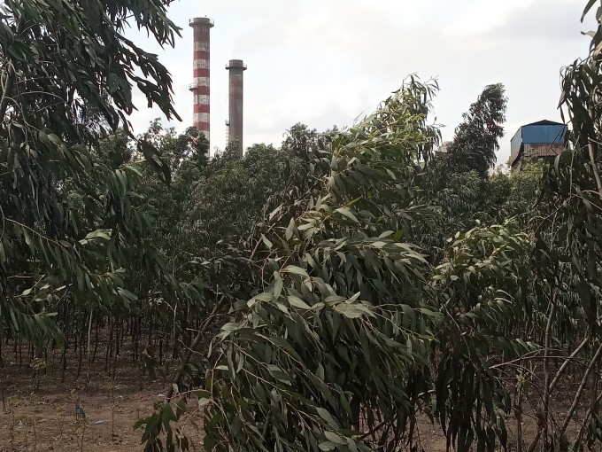 Air Pollution In Raipur