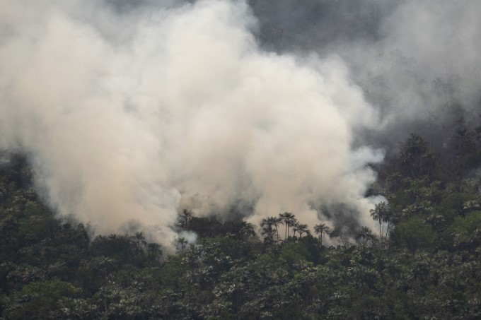 Amazon Forest Fire Disaster