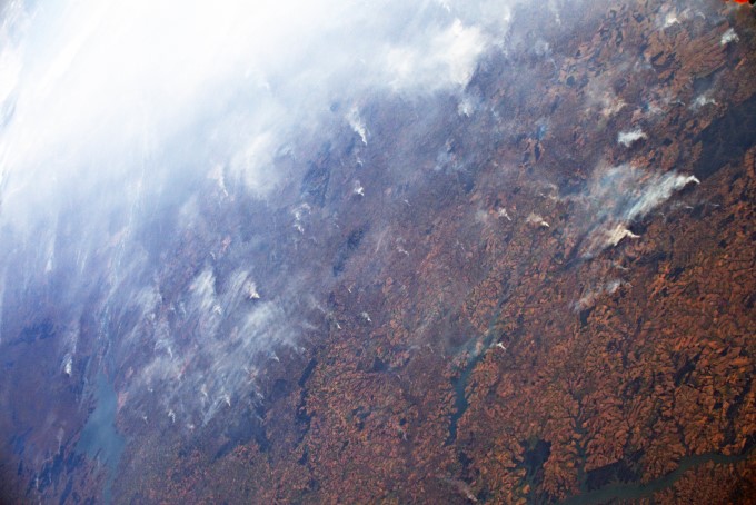 Amazon Forest Fire Disaster