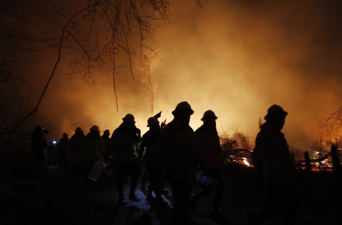 Amazon Forest Fire Disaster