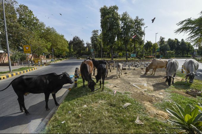 News in Photos (13 April 2020) | Photos of Top News Today - Oneindia Gallery