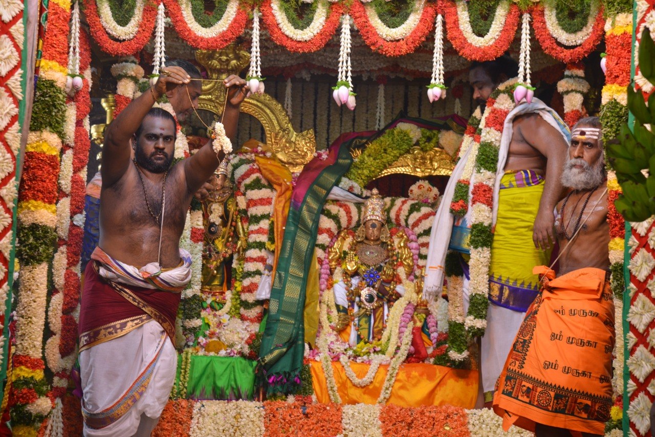 மதுரை மீனாட்சி திருக்கல்யாணம் Madurai Meenakshi Tirukalyanam
