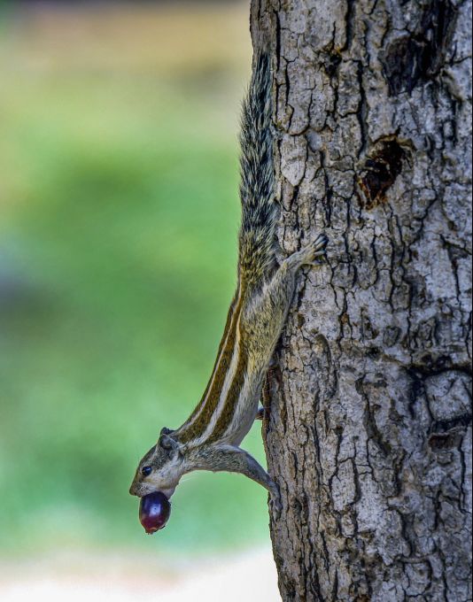 News in Photos (24 May 2020) | Photos of Top News Today - Oneindia Gallery