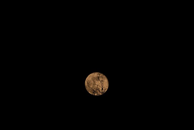 Super Flower Moon Pictures From Around The World