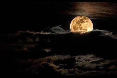 Super Flower Moon Pictures From Around The World
