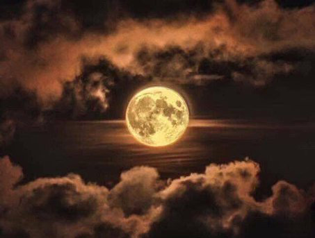 Super Flower Moon Pictures From Around The World