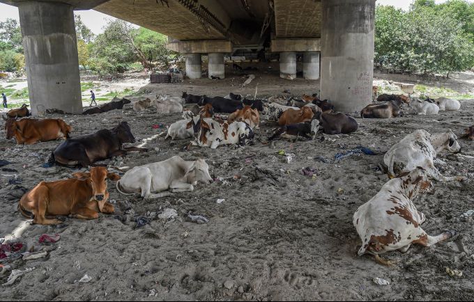 News in Photos (28 June 2020) | Photos of Top News Today - Oneindia Gallery