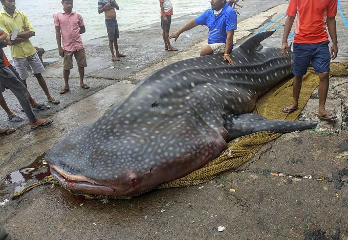 News in Photos (12 August 2020) | Photos of Top News Today - Oneindia Gallery