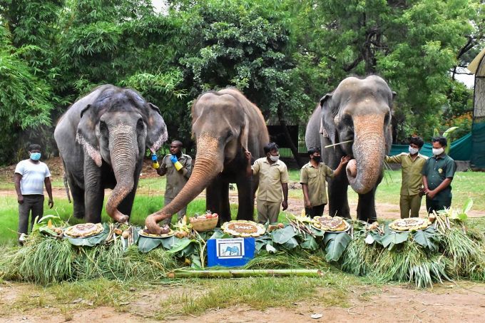 News in Photos (12 August 2020) | Photos of Top News Today - Oneindia Gallery