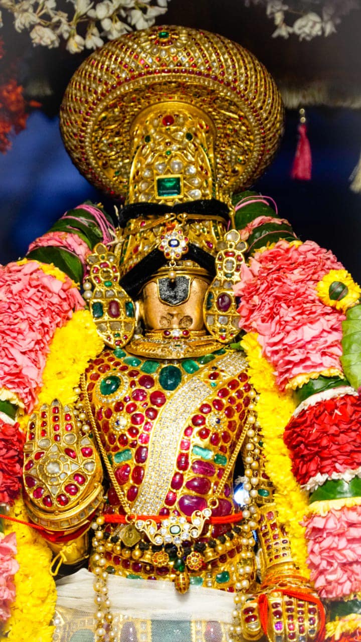 Srirangam Vaikunta ekadasi 2020 ,Sorgavasal Tirapu Namperumal