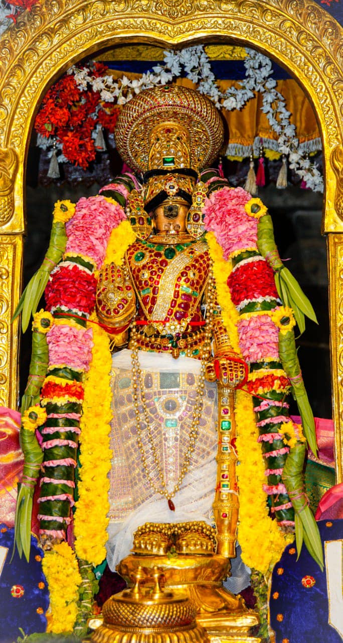 Srirangam Vaikunta ekadasi 2020 ,Sorgavasal Tirapu Namperumal