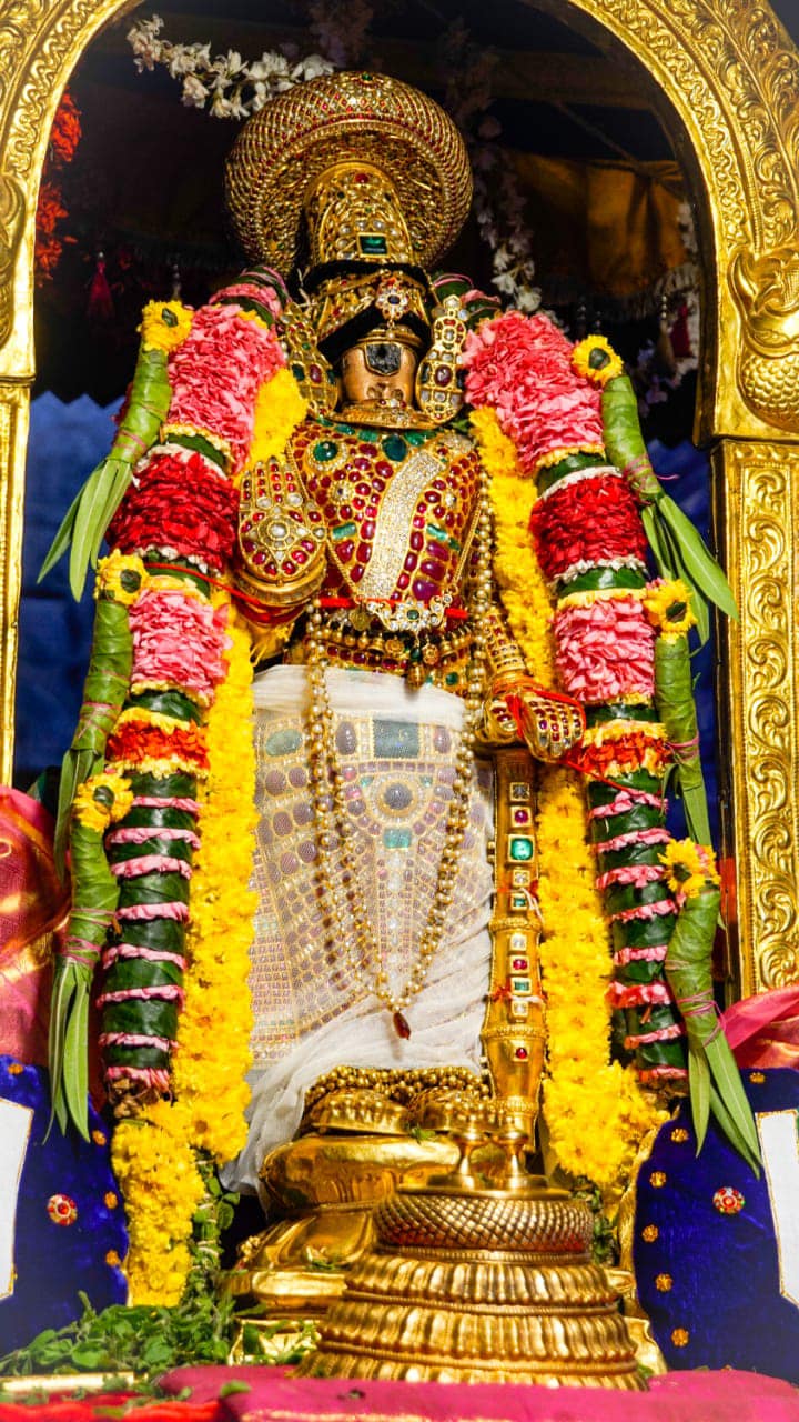 Srirangam Vaikunta ekadasi 2020 ,Sorgavasal Tirapu Namperumal