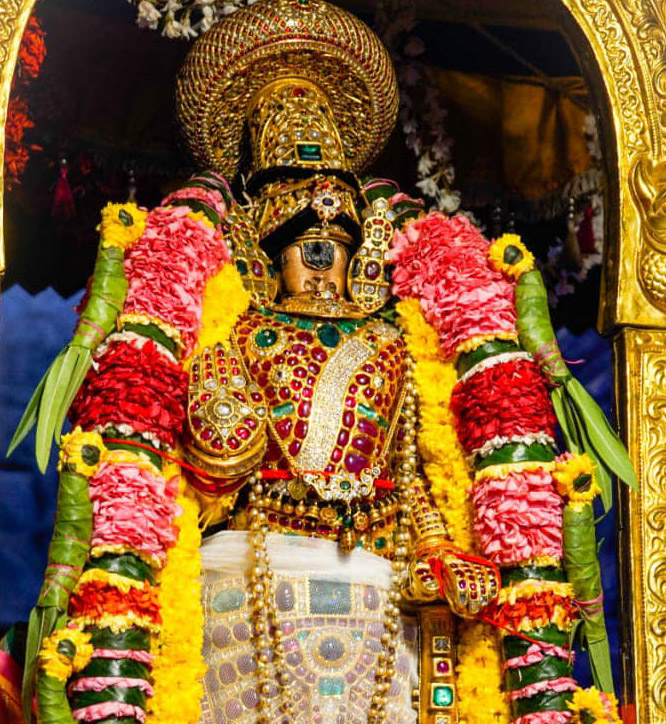 Srirangam Vaikunta ekadasi 2020 ,Sorgavasal Tirapu Namperumal