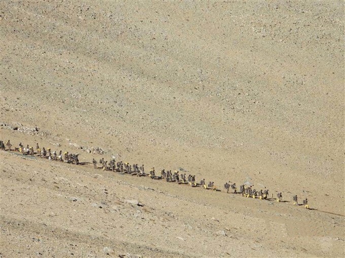 ഇന്ത്യൻ, ചൈനീസ് സൈനികരും ടാങ്കുകളും പാംഗോംഗ് തടാക പ്രദേശത്ത് നിന്ന് പിന്‍മാറുന്നു-ചിത്രങ്ങള്‍ കാണാം 