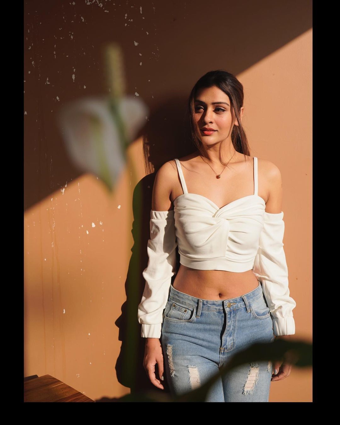 മനം കുളിര്‍പ്പിച്ച് പായല്‍ രാജ്പുത്ത്; ഏറ്റവും പുതിയ ചിത്രങ്ങള്‍ കാണാം