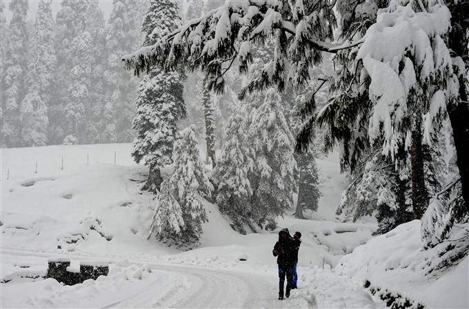 Snowfall In Jammu and Kashmir And Leh