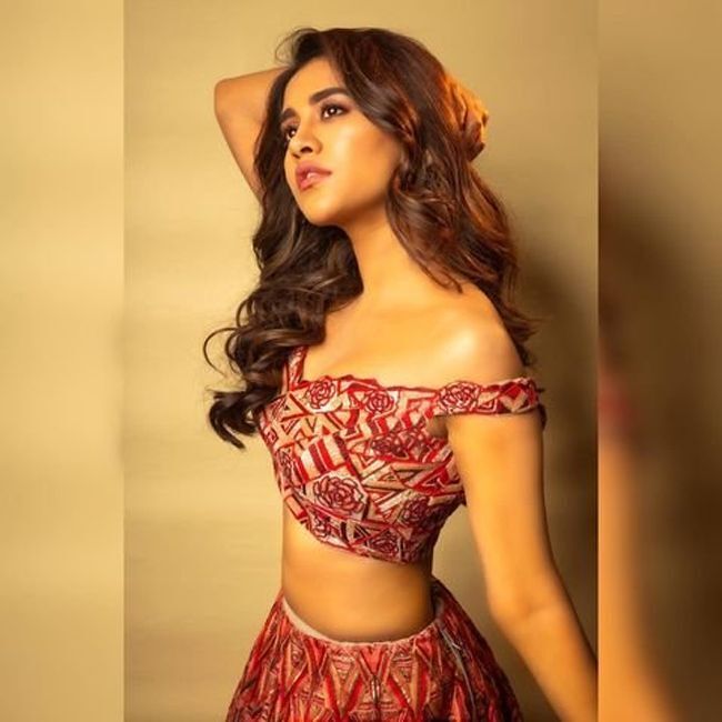 സ്റ്റൈലിഷ് എന്നാൽ ഇതാണ്.. ഹോട്ട് ആന്റ് ഗ്ലാമർ ലുക്കിൽ നടി നഭാ നടേഷ്