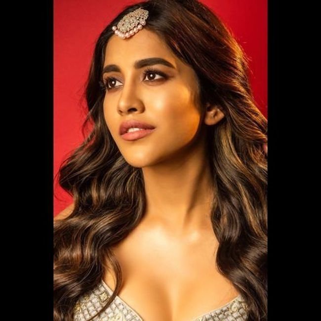 സ്റ്റൈലിഷ് എന്നാൽ ഇതാണ്.. ഹോട്ട് ആന്റ് ഗ്ലാമർ ലുക്കിൽ നടി നഭാ നടേഷ്