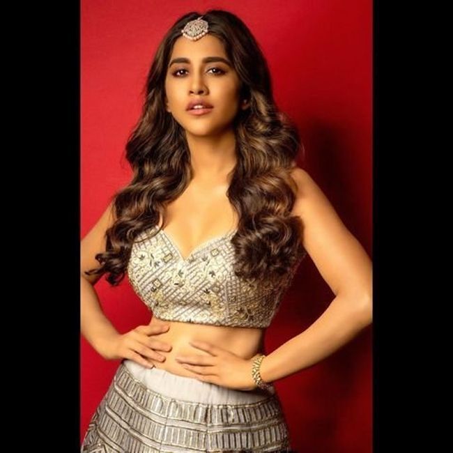 സ്റ്റൈലിഷ് എന്നാൽ ഇതാണ്.. ഹോട്ട് ആന്റ് ഗ്ലാമർ ലുക്കിൽ നടി നഭാ നടേഷ്