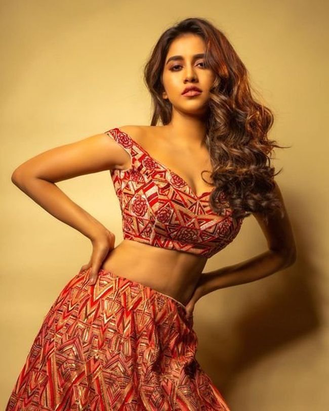 സ്റ്റൈലിഷ് എന്നാൽ ഇതാണ്.. ഹോട്ട് ആന്റ് ഗ്ലാമർ ലുക്കിൽ നടി നഭാ നടേഷ്