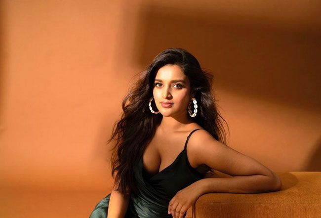 ഹോട്ട് ലുക്കിൽ നിധി അഗർവാൾ; ബിഗ്ബോസ് താരത്തിന്റെ പുതിയ ഫൊട്ടോകൾ വൈറലാകുന്നു