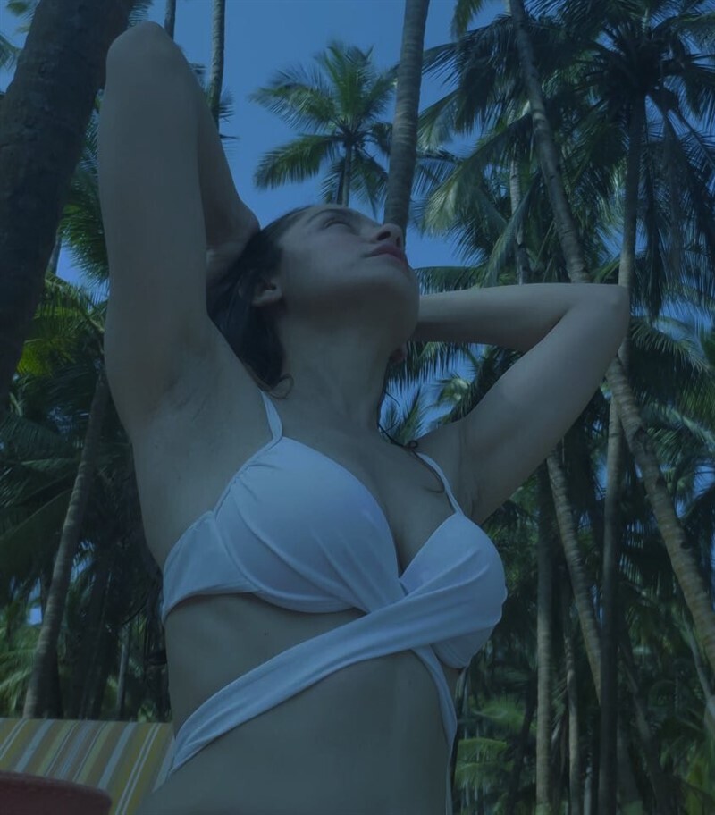 ഹോട്ട് ലുക്കില്‍ സഞ്ജീത ശൈഖ്: നടിയുടെ ഏറ്റവും പുതിയ ചിത്രങ്ങള്‍