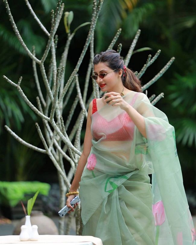 സാരിയിൽ തിളങ്ങി ഹംസനന്ദിനി, ചിത്രങ്ങൾ കാണാം