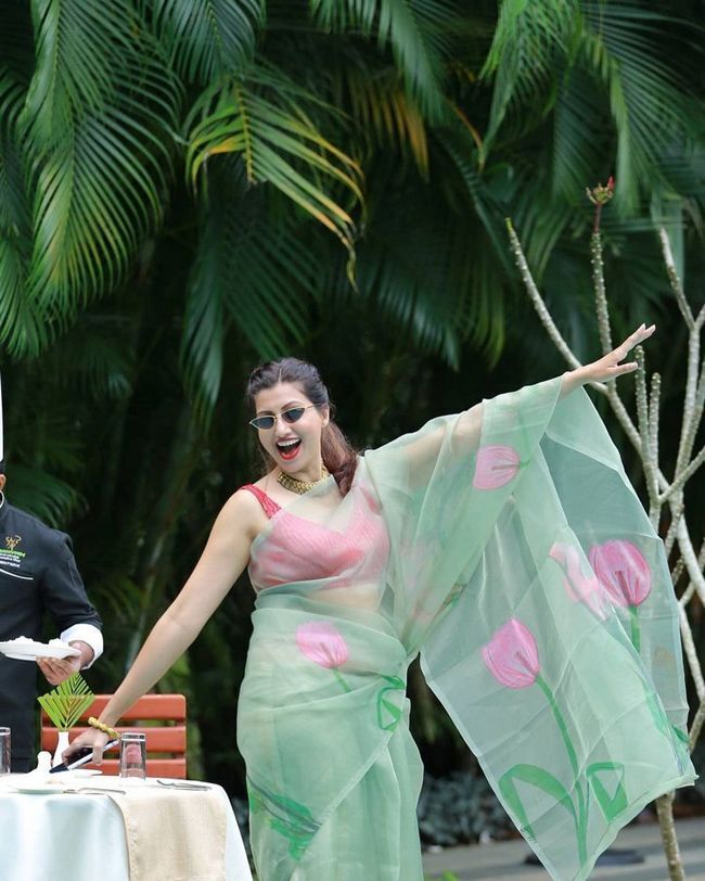 സാരിയിൽ തിളങ്ങി ഹംസനന്ദിനി, ചിത്രങ്ങൾ കാണാം