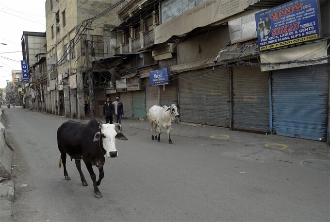 ദല്‍ഹി ലോക്ക്ഡൗണ്‍ ചിത്രങ്ങള്‍ (22-05-2021)