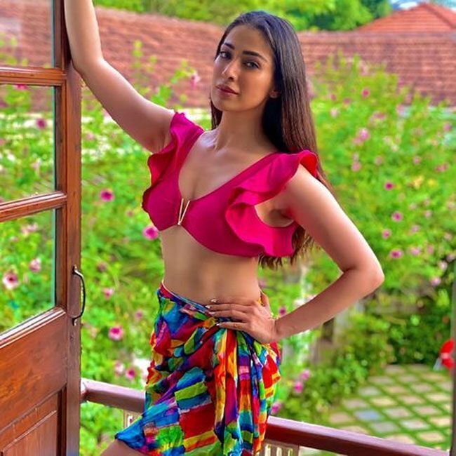 വേറിട്ട ലുക്കില്‍ റായി ലക്ഷ്മി; ഏറ്റവും പുതിയ ഫോട്ടോഷൂട്ട് കാണാം