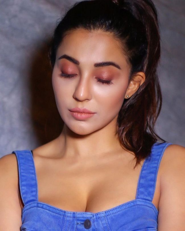 മോഹന്‍ലാലിന്റെ നീരാളിയിലെ താരത്തിന്റെ ഏറ്റവും പുതിയ ചിത്രങ്ങള്‍