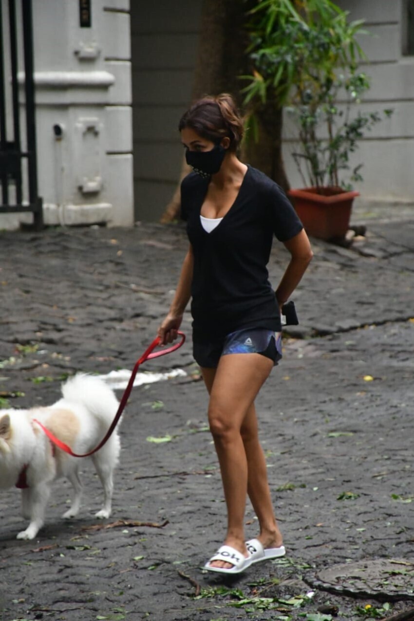 മഞ്ഞയിൽ അതീവ സ്റ്റൈലിഷ്, നടി മല്ലിക അറോറയുടെ ഏറ്റവും പുതിയ ലുക്ക് വൈറൽ