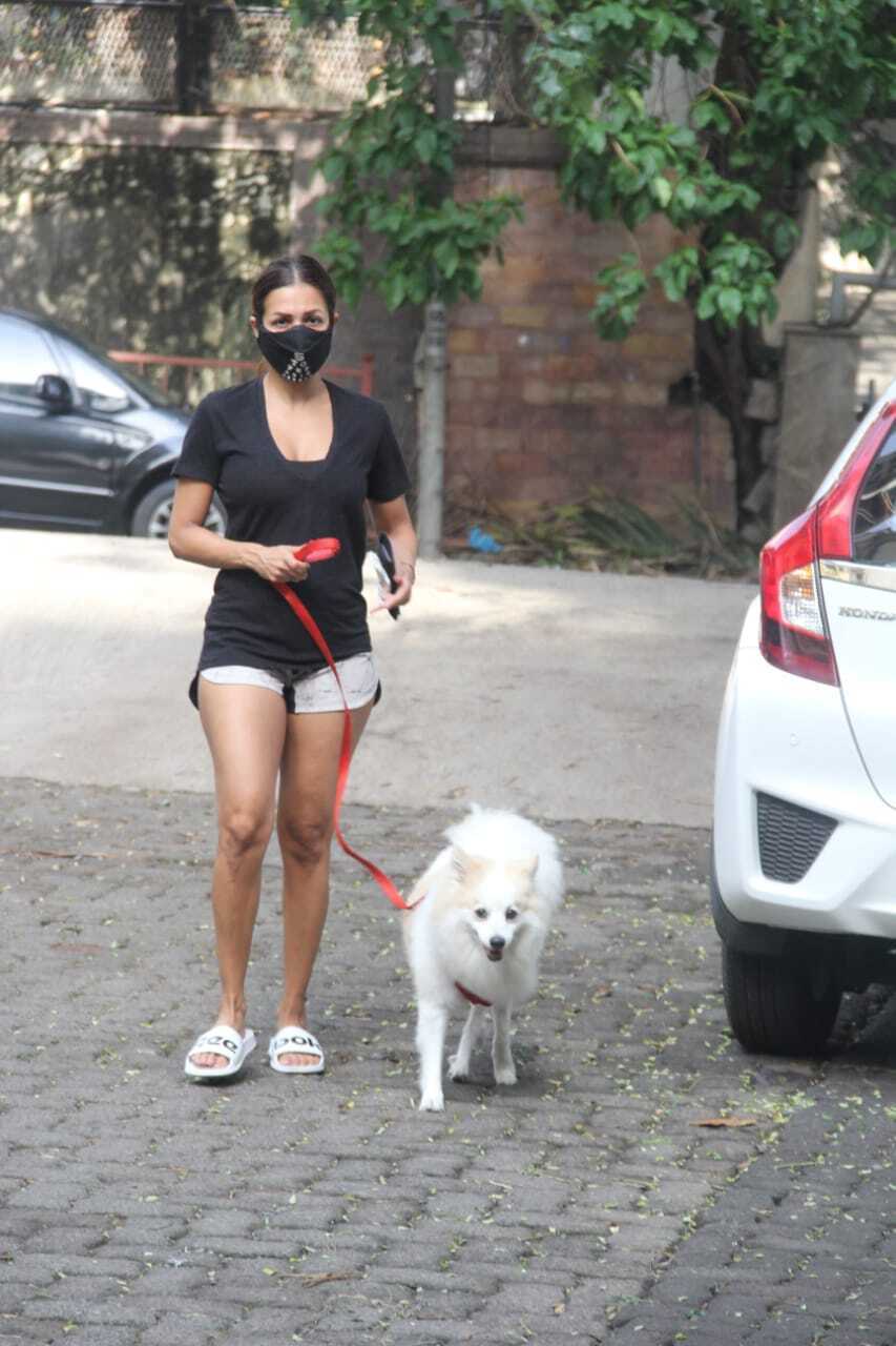 മഞ്ഞയിൽ അതീവ സ്റ്റൈലിഷ്, നടി മല്ലിക അറോറയുടെ ഏറ്റവും പുതിയ ലുക്ക് വൈറൽ