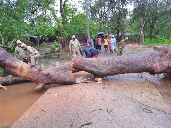Cyclone Yaas: Damages Caused By Cyclone Yaas In Odisha