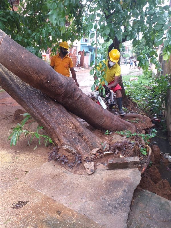 Cyclone Yaas: Damages Caused By Cyclone Yaas In Odisha