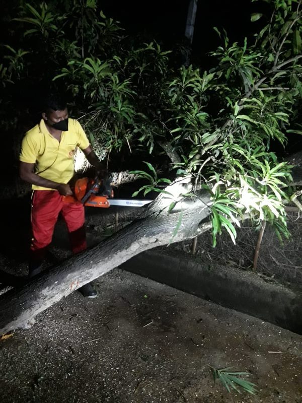 Cyclone Yaas: Damages Caused By Cyclone Yaas In Odisha