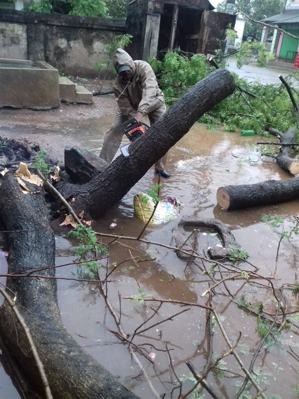 Cyclone Yaas: Damages Caused By Cyclone Yaas In Odisha