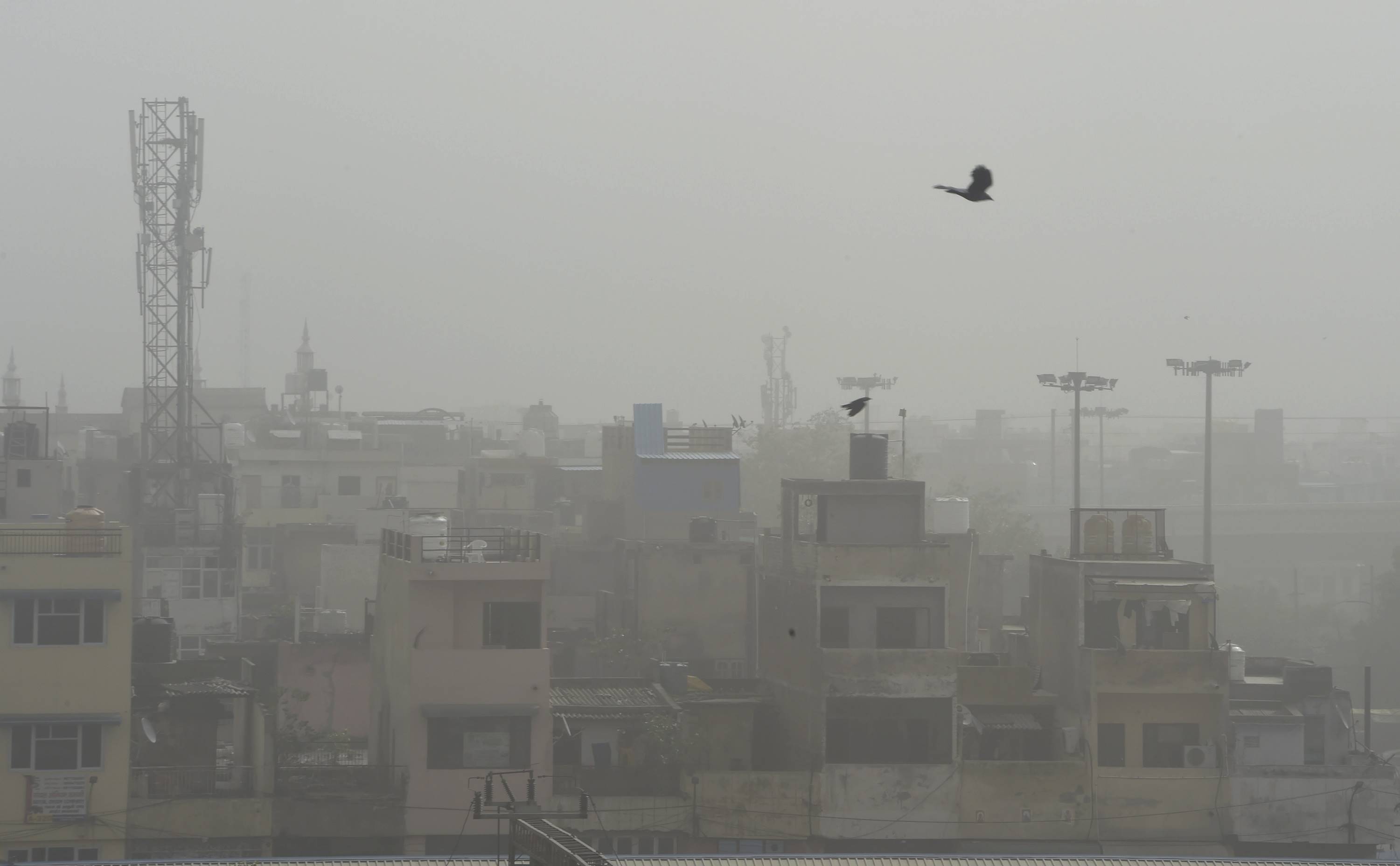 പൊടിയിൽ മൂടി ദില്ലി, ചിത്രങ്ങൾ കാണാം