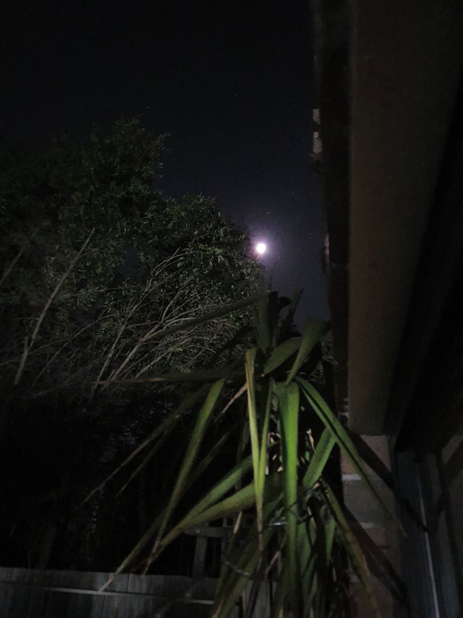Lunar Eclipse 2021: Full Moon
