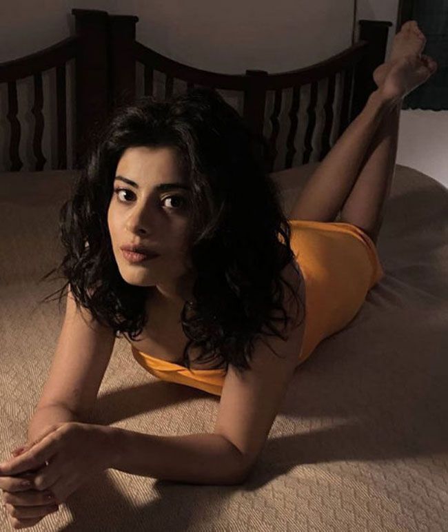 തിളങ്ങുന്ന മഞ്ഞ വസ്ത്രത്തില്‍ ബെഡ്‌റൂം ചിത്രങ്ങളുമായി അനിഷ് വിക്ടര്‍; വൈറല്‍ ചിത്രങ്ങള്‍ കാണാം