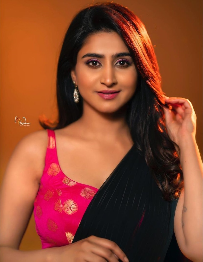 വർഷിണി സൗന്ദർരാജൻ ലേറ്റസ്റ്റ് ചിത്രങ്ങൾ