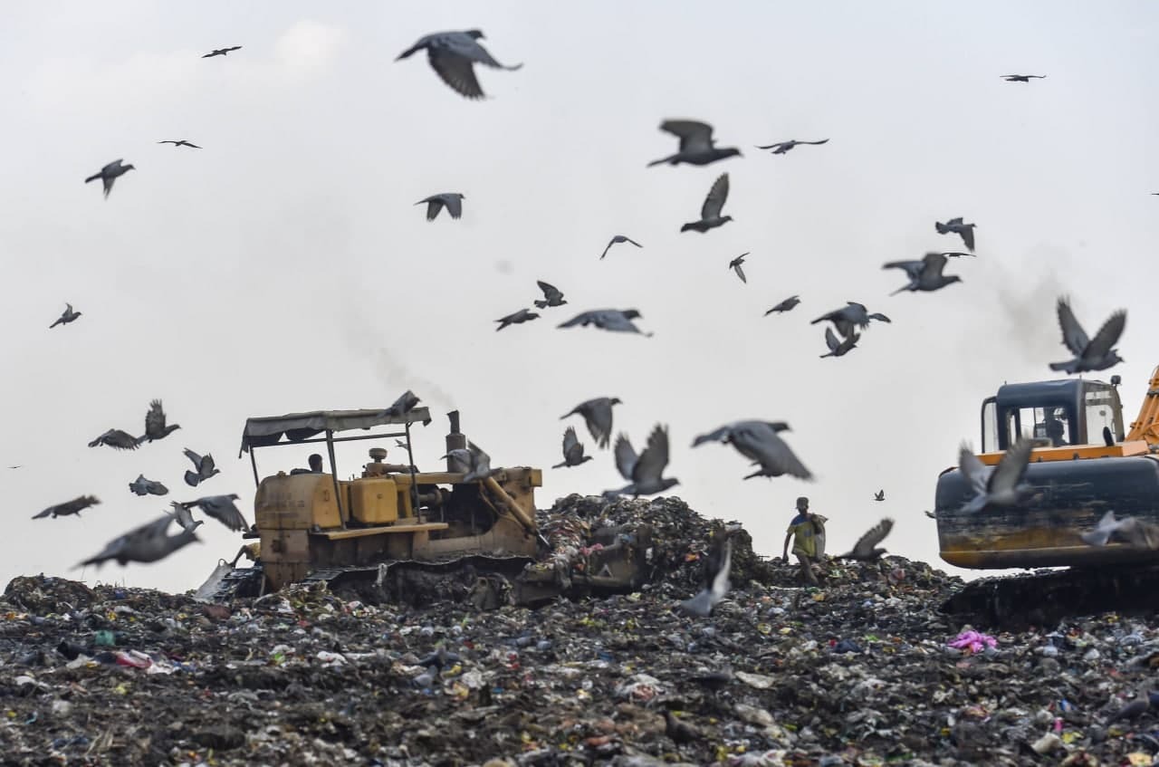 മാലിന്യക്കൂമ്പാരത്തിനിടയിലെ ജീവിതങ്ങൾ; ലോകപരിസ്ഥിതി ദിനത്തിൽ കാണേണ്ട ചിത്രങ്ങൾ