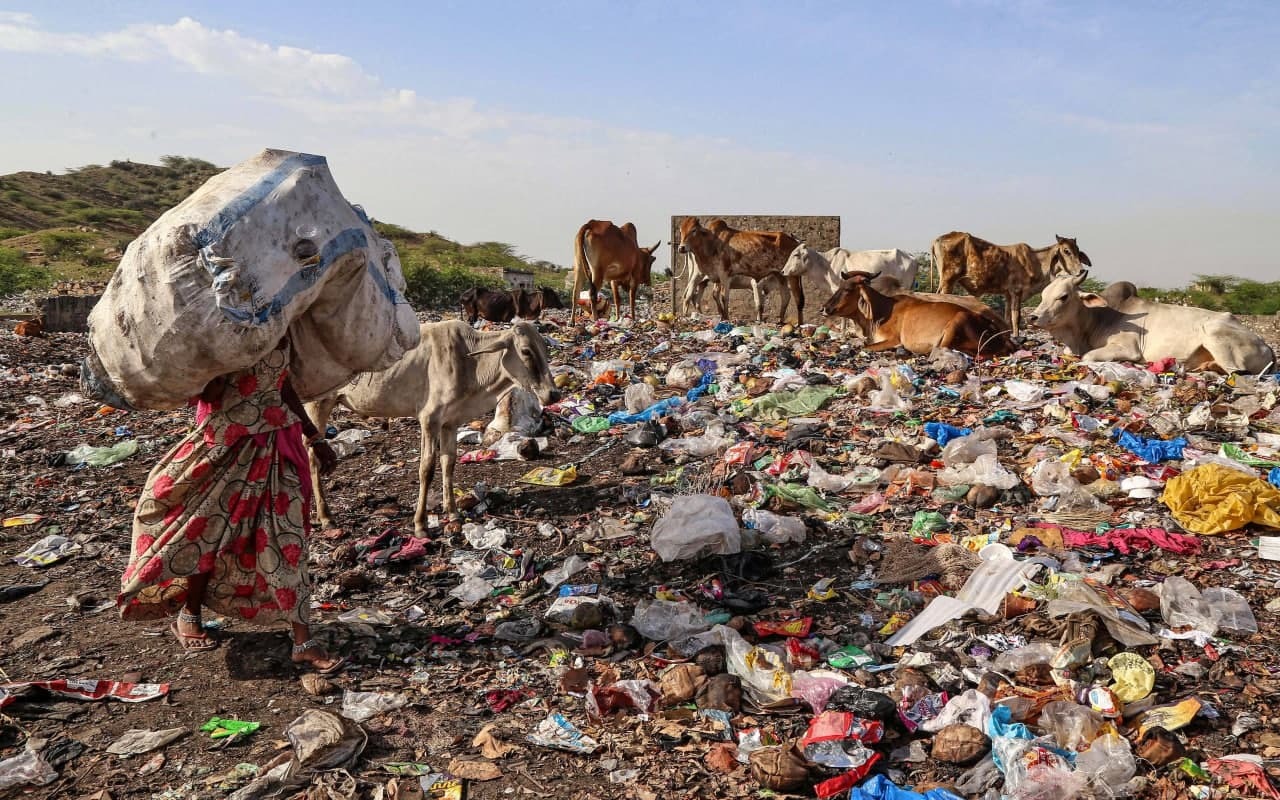 മാലിന്യക്കൂമ്പാരത്തിനിടയിലെ ജീവിതങ്ങൾ; ലോകപരിസ്ഥിതി ദിനത്തിൽ കാണേണ്ട ചിത്രങ്ങൾ