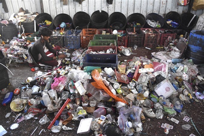 World Environment Day, 2021