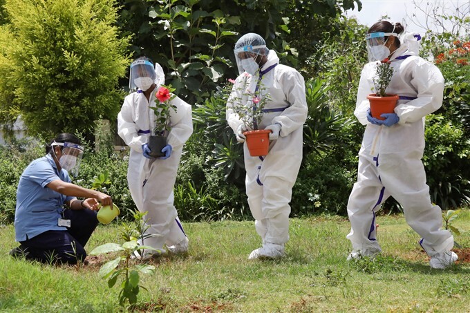 World Environment Day, 2021