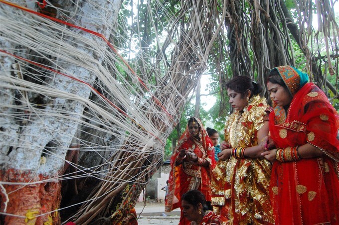 Women Perform Rituals On The Occasion Of 'vat Savitri Puja' Across India