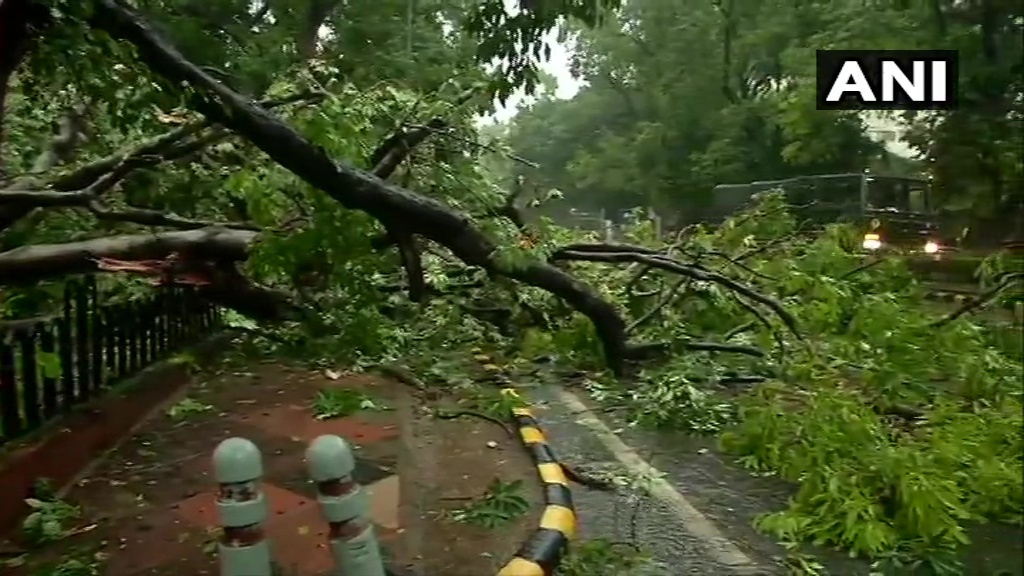 തലസ്ഥാന നഗരിയുടെ ചില ഭാഗങ്ങളില്‍ കനത്ത മഴ
