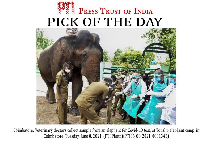 News in Photos (8 June 2021) | Photos of Top News Today - Oneindia Gallery