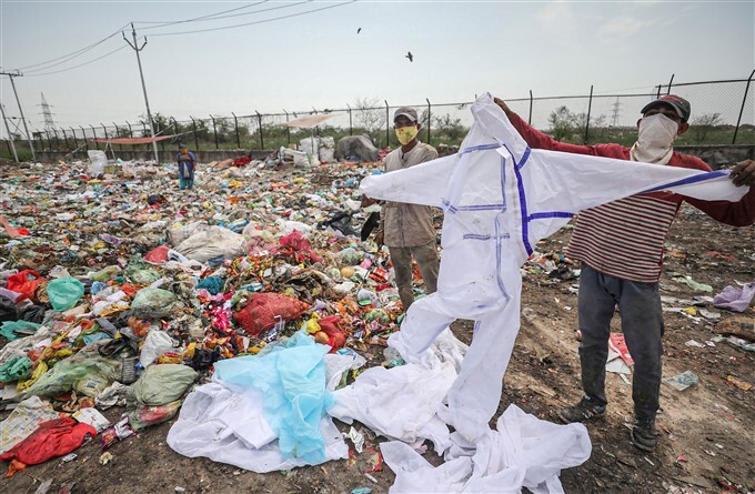 World Environment Day, 2021